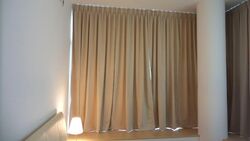 Soleil @ Sinaran (D11), Condominium #560580131